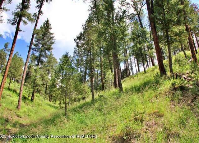 Property at 102 Saxony, Ruidoso, NM 88345
