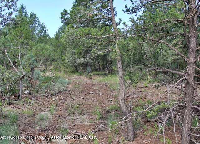 Property at 131 Sierra Vista Dr, Alto, NM 88312