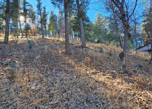 Property at 203 Perk Canyon Dr, Ruidoso, NM 88345