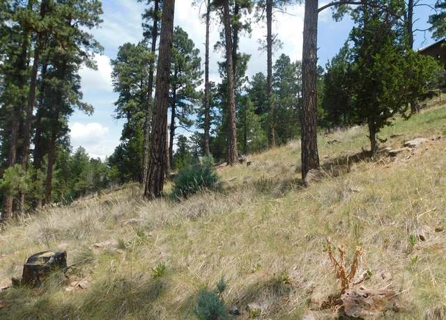 Property at 208 Timberline Dr #1, Ruidoso, NM 88345