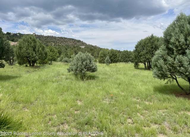 Property at 153 Deer Valley Dr, Alto, NM 88312