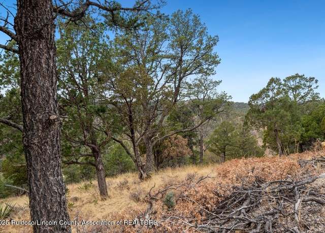 Property at 109 Middle Fork Frk, Ruidoso, NM 88345