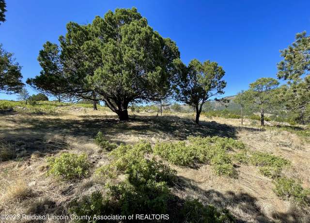 Property at L16 Buggy Ln, Nogal, NM 88341