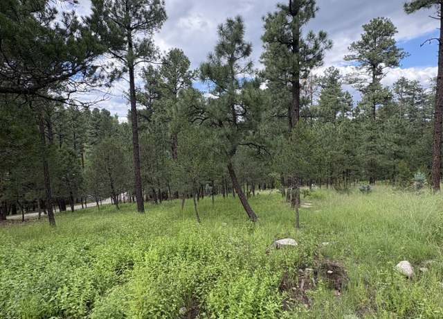 Property at Lot 2 Incredible Ln, Alto, NM 88312