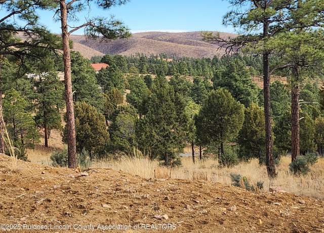 Property at 143 Charles Mcclellan Dr, Ruidoso, NM 88345