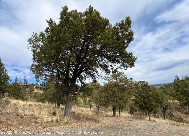 Property at 107 Abbey Pl, Ruidoso, NM 88345