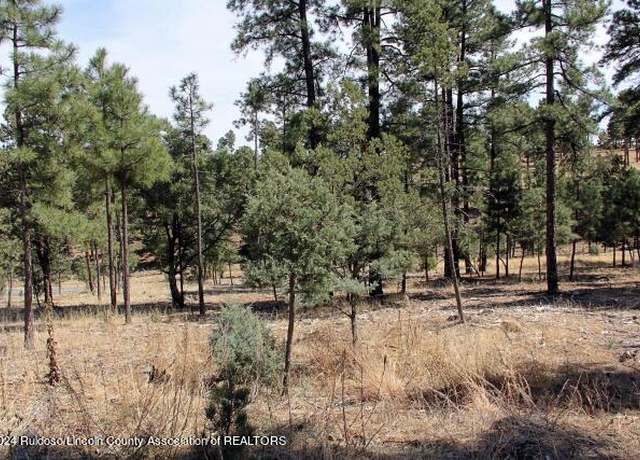 Property at 106-108 Highway 48, Alto, NM 88312