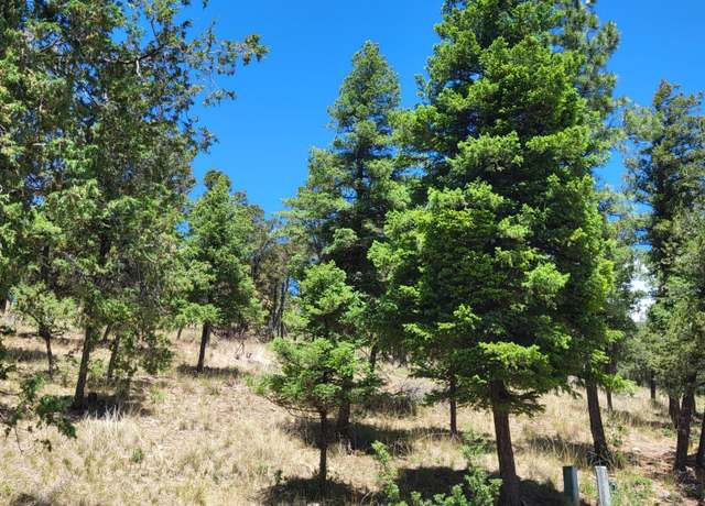 Property at 303 Crown Dr, Ruidoso, NM 88345