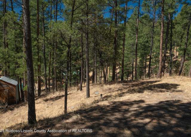 Property at 114 Ash Dr, Ruidoso, NM 88345