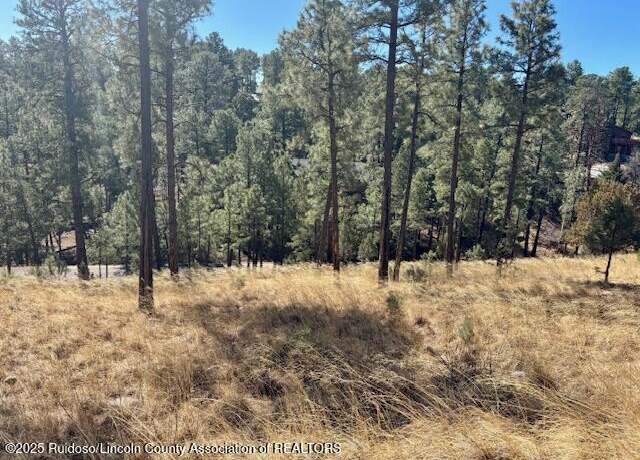 Property at Lot 6 Camino Dr, Alto, NM 88312