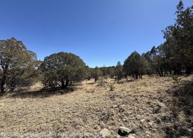 Property at 190 Altamira Dr, Alto, NM 88312