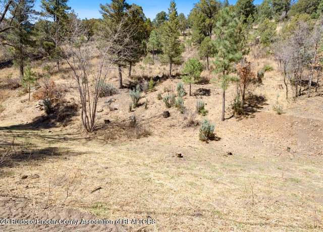 Property at 448 Flume Canyon Dr, Ruidoso, NM 88345