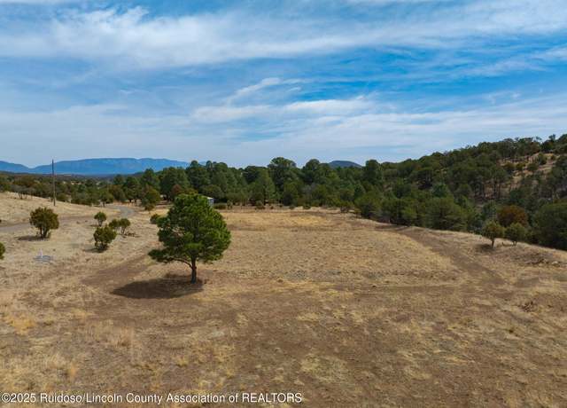 Property at 110 Bean Patch Rd, Capitan, NM 88316