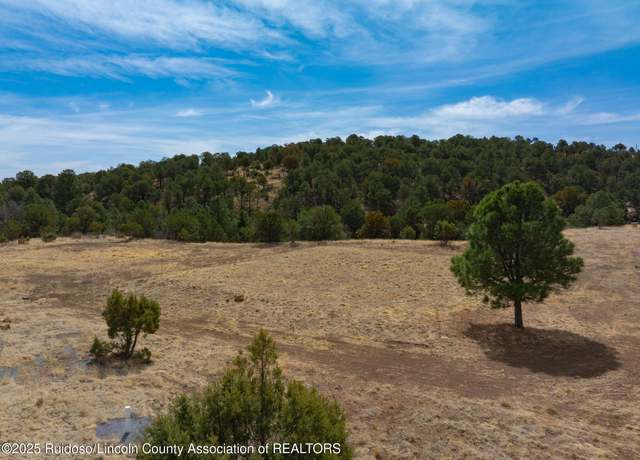 Property at 110 Bean Patch Rd, Capitan, NM 88316