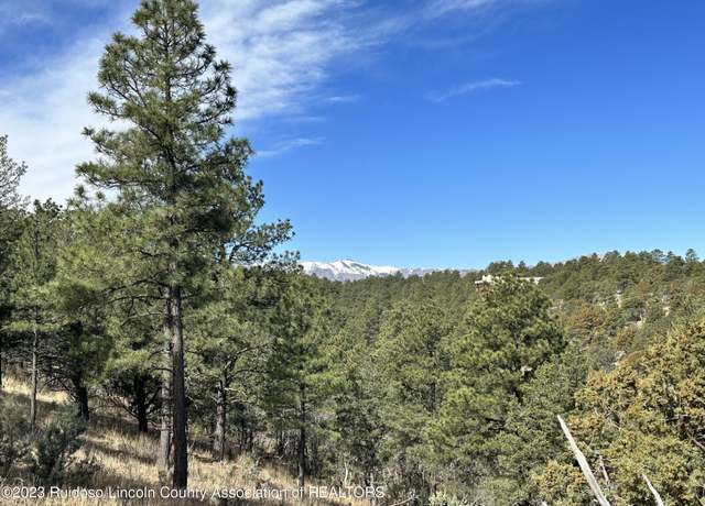 Property at Lot 12 Golden Eagle Ct, Alto, NM 88312