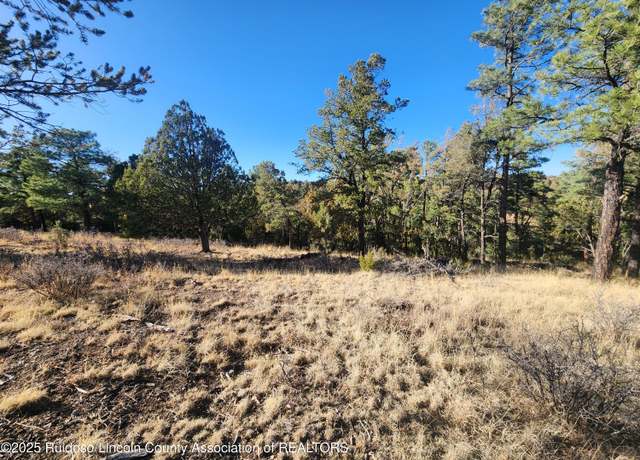 Property at 50B Bobby Jones Ct, Alto, NM 88312