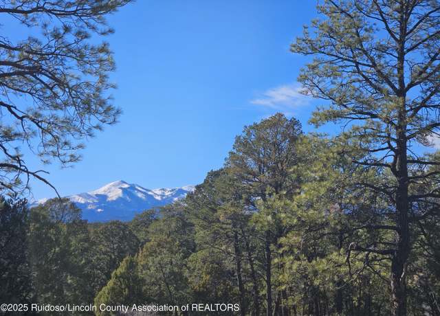 Property at - FS Rd 120, Ruidoso Downs, NM 88346