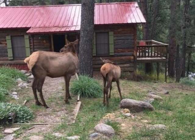 Property at 112 Lower Terrace Dr, Ruidoso, NM 88345, 14 beds, 15 baths