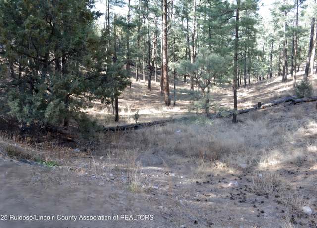 Property at Lot 9 Alto Dr, Alto, NM 88312