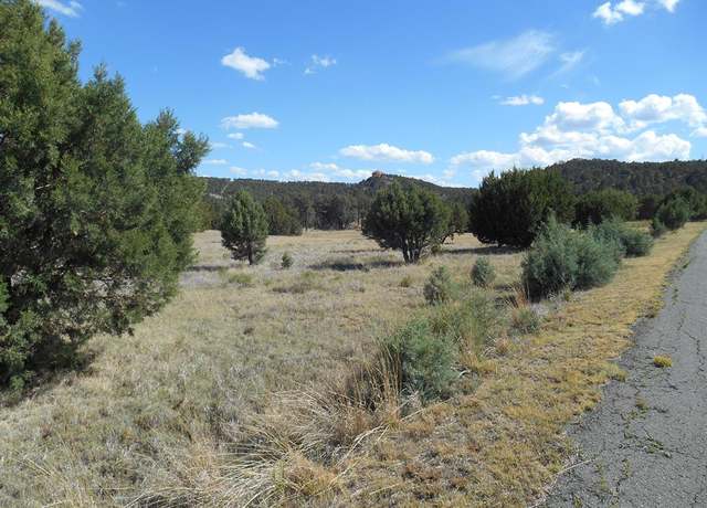 Property at 277 Paseo De Aguayo #3, Alto, NM 88312