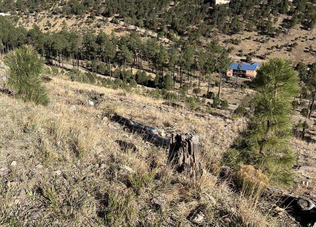 Property at Lot 58 El Camino, Alto, NM 88312