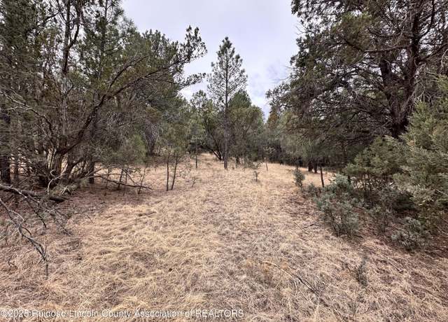 Property at Lot 111 Antler Dr. Dr, Alto, NM 88312