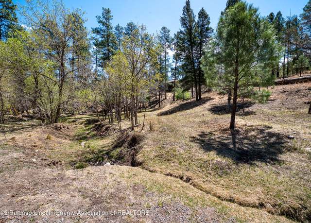 Property at 209 Flume Canyon Dr, Ruidoso, NM 88345