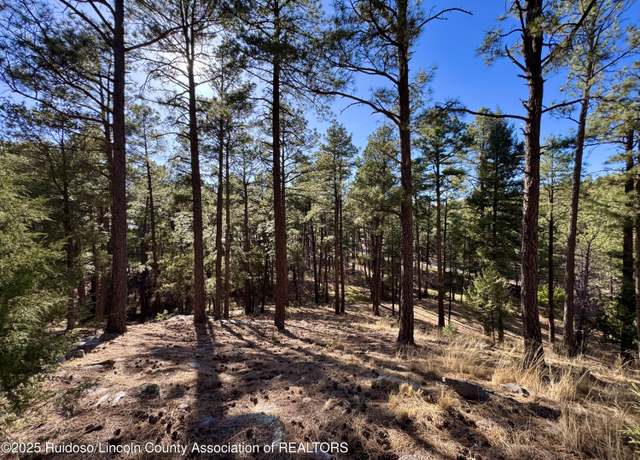 Property at 137 Broadmoor Dr, Alto, NM 88312