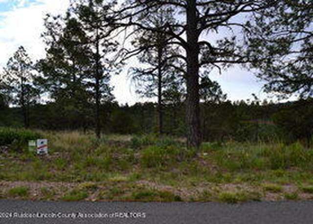 Property at 56A Butch Baird Ln, Alto, NM 88312
