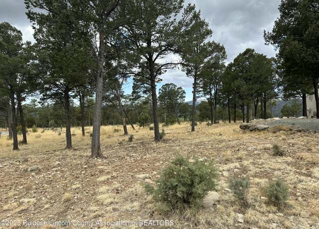 Property at 106 Avalon Ct, Ruidoso, NM 88345