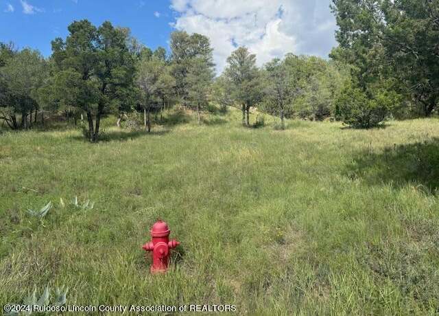 Property at 1127 Little Big Horn Rd, Alto, NM 88312