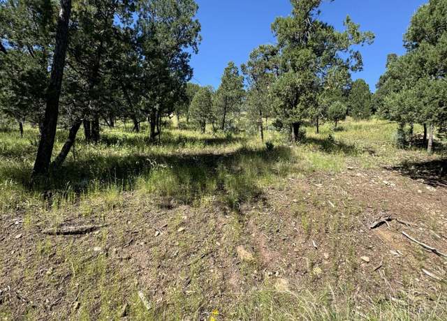 Property at L5 Neil Rd, Alto, NM 88312