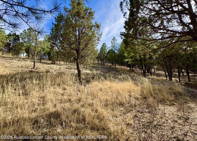 Property at Lot 44 Sawmill Canyon Rd, Alto, NM 88312