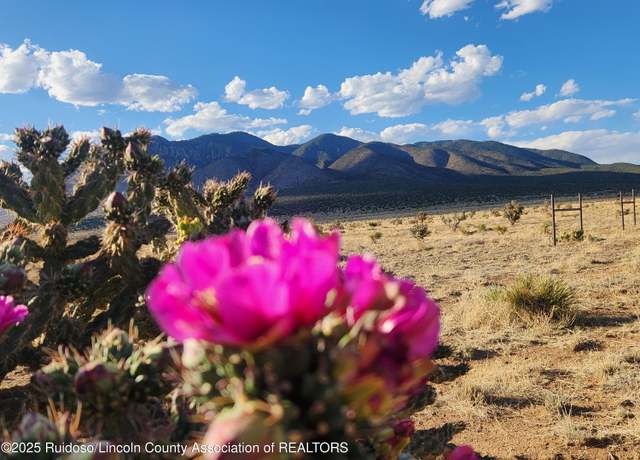 Property at L4 O Bar O Rd, Carrizozo, NM 88301