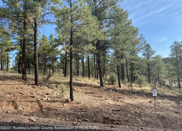 Property at L19D Gene Sarrasin Ct, Alto, NM 88312