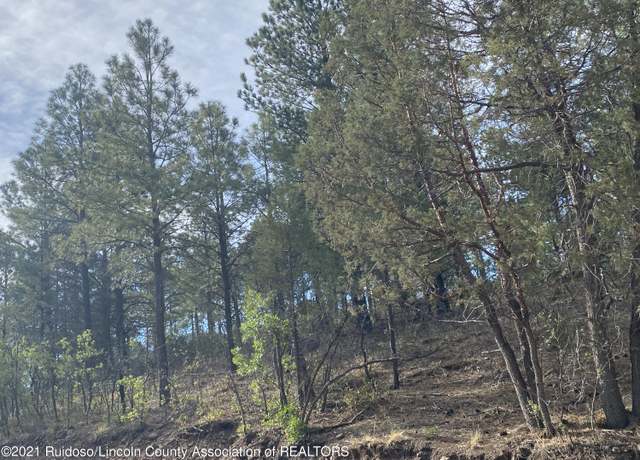 Property at L28D Walter Hagan Dr, Alto, NM 88312