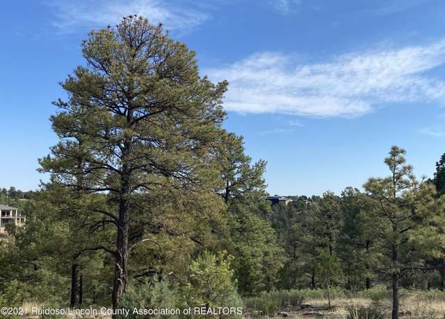 Property at L35D Walter Hagan Dr, Alto, NM 88312