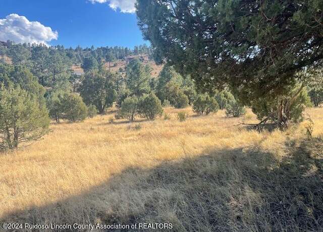Property at 112 Antler Dr, Alto, NM 88312