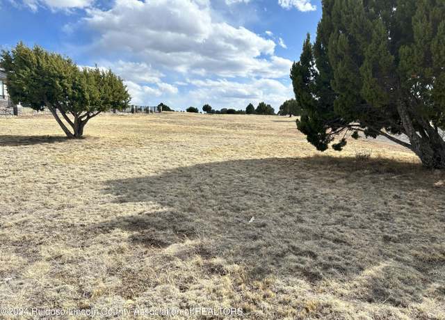 Property at L6,B6 Lipan Ct, Alto, NM 88312