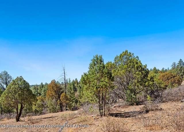 Property at 100 Canon Rd, Ruidoso, NM 88345