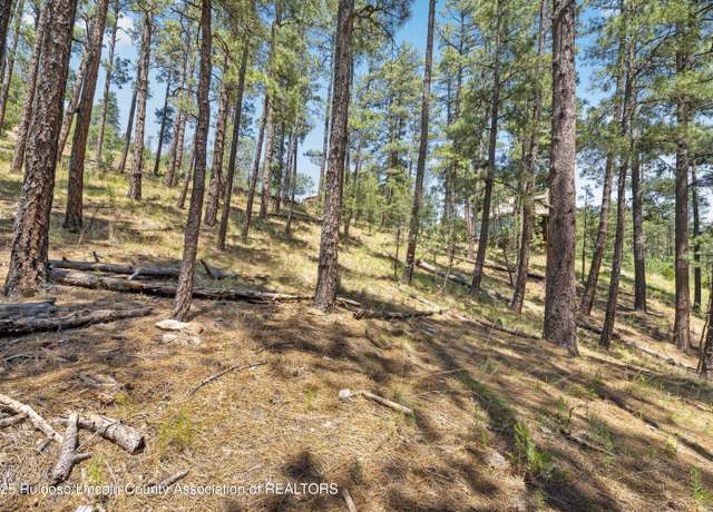 Property at 142 S Candlewood Dr, Ruidoso, NM 88345