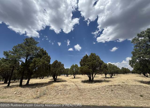 Property at Lot 39A-A2 Lincoln Hills Dr, Alto, NM 88312