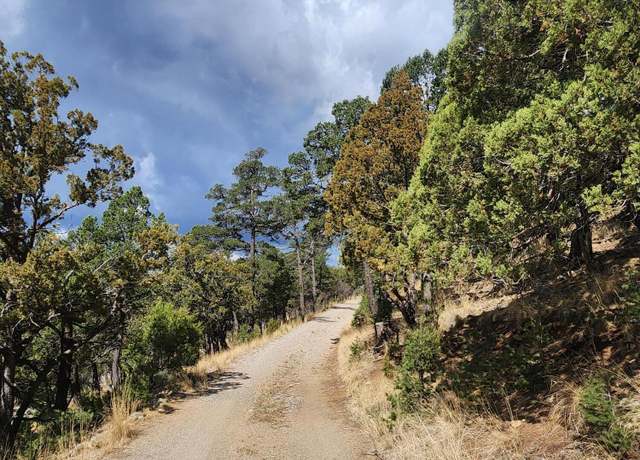 Property at 124 Buena Vista Dr, Alto, NM 88312