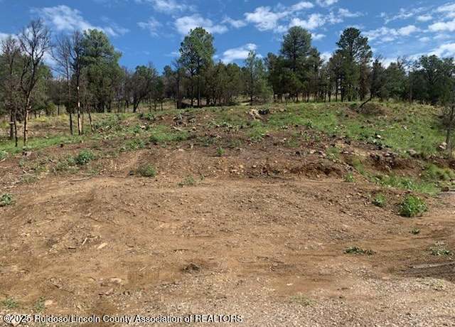Property at 124 Buena Vista Dr, Alto, NM 88312
