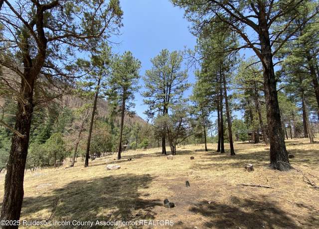 Property at 109 & 111 E Riverside Dr, Ruidoso, NM 88345
