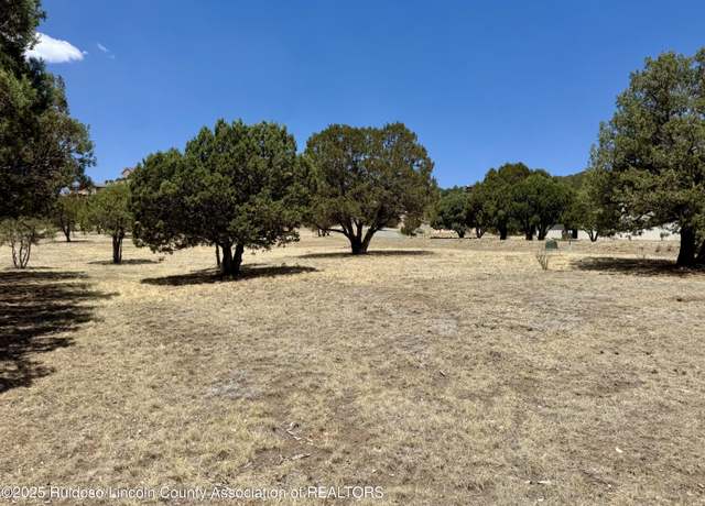 Property at 104 Antler Dr, Alto, NM 88312