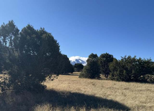 Property at L183 Saddleback Rd, Alto, NM 88312