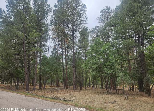 Property at 74 Lot Silvertip Trl #5, Alto, NM 88312