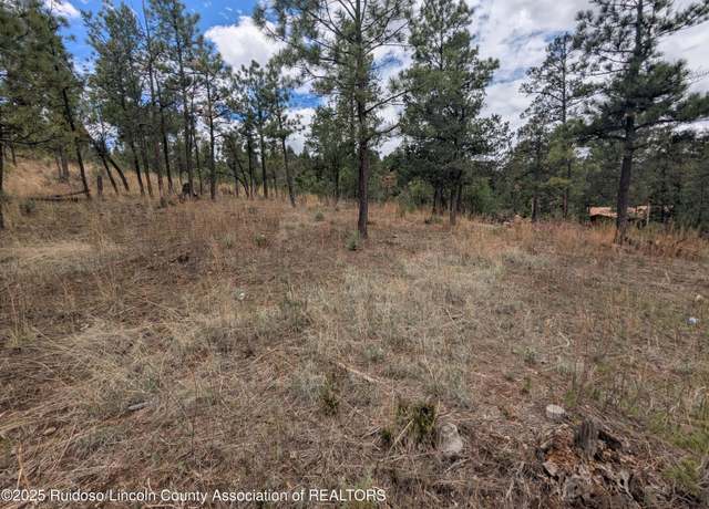 Property at 303 Pine Rd, Ruidoso, NM 88345