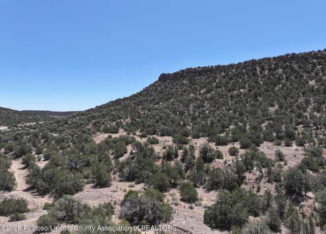 Property at tbd Jicarilla Rd, White Oaks, NM 88301